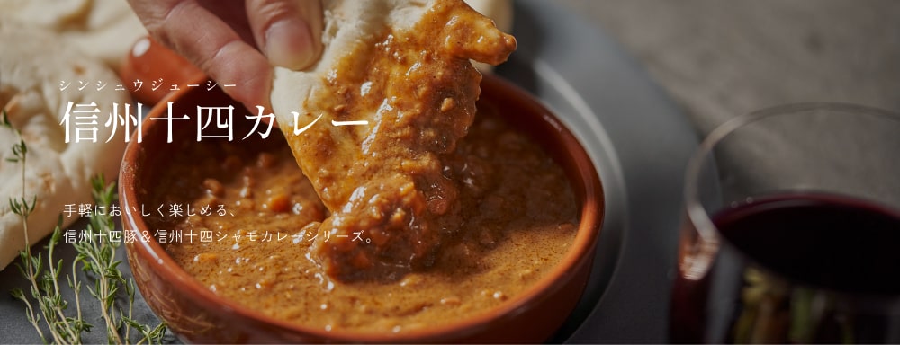信州十四カレー